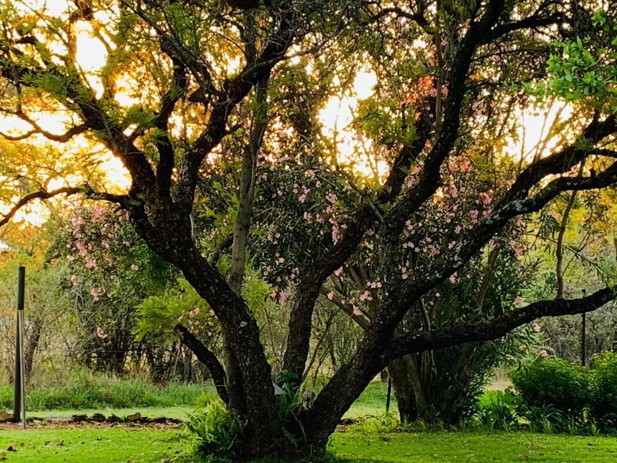 Bed & Breakfast Farm Vibes